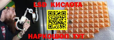 прущие крисы Владимир