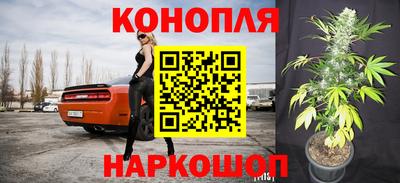 прущие крисы Владимир