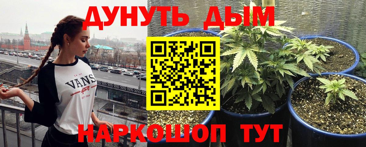 Канабис конопля Бахчисарай